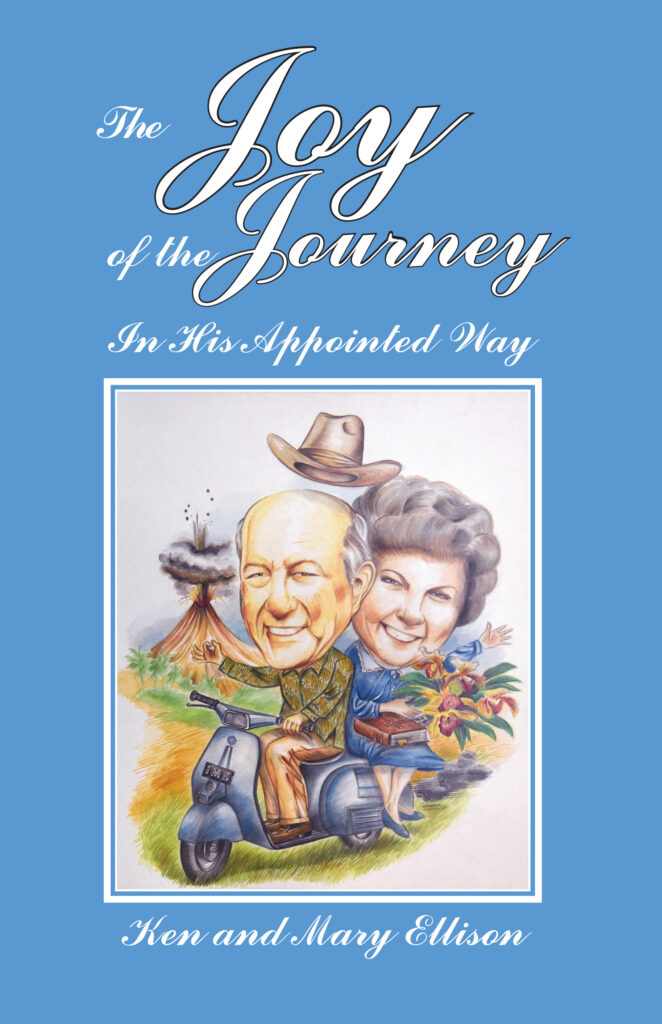 The Joy of the Journey Front Cover